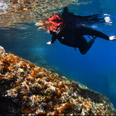 Snorkeling guiat a la reserva de les illes Medes